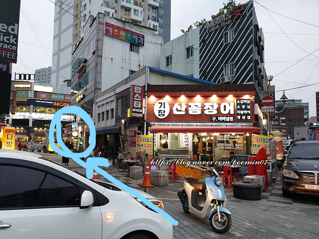물의나라수족관 이미지