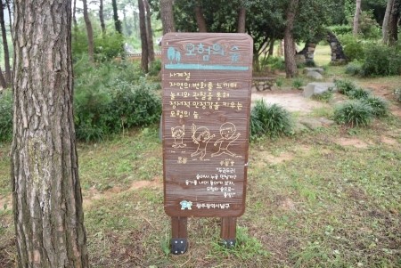 제봉산 마법의 숲체험원 이미지
