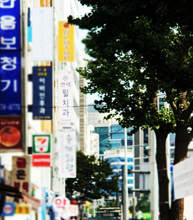 서울윌치과 이미지