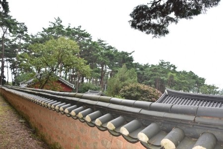 제봉산 마법의 숲체험원 이미지