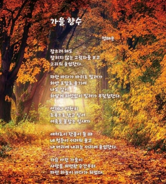 대한환경 이미지