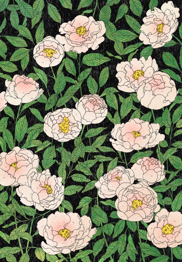 peony 이미지