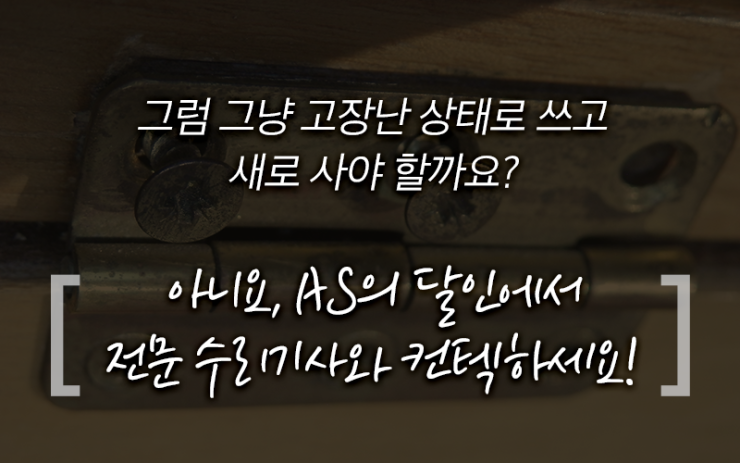 플로리어 이미지