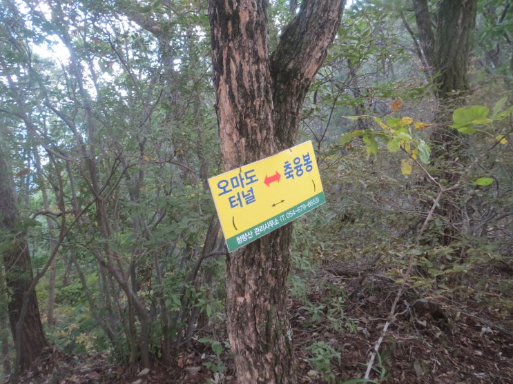 장자골민박 이미지