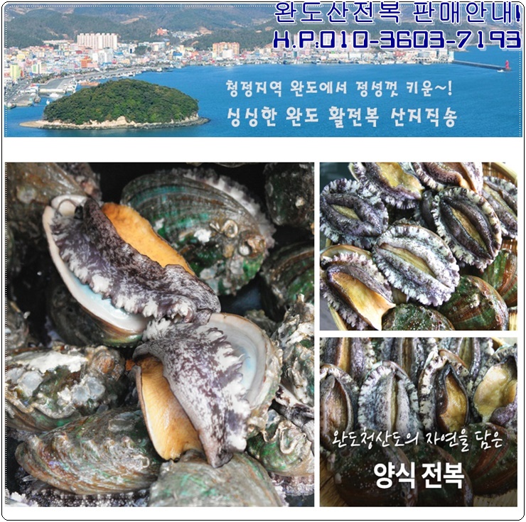 완도산전복산지직송 이미지
