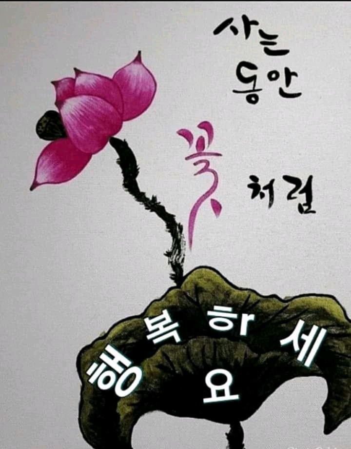 사는동안꽃처럼 이미지