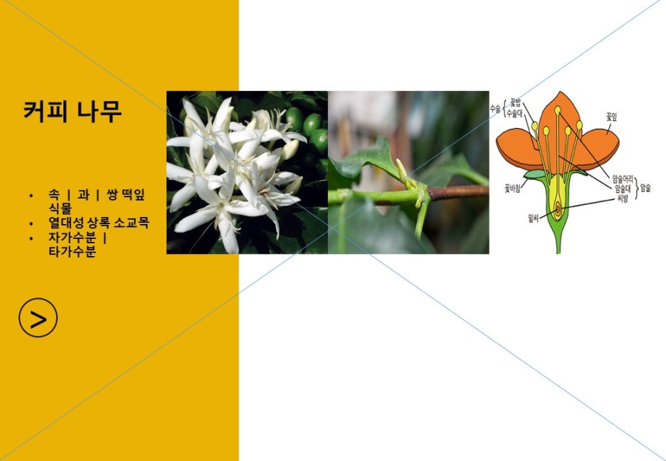 타가커피 이미지