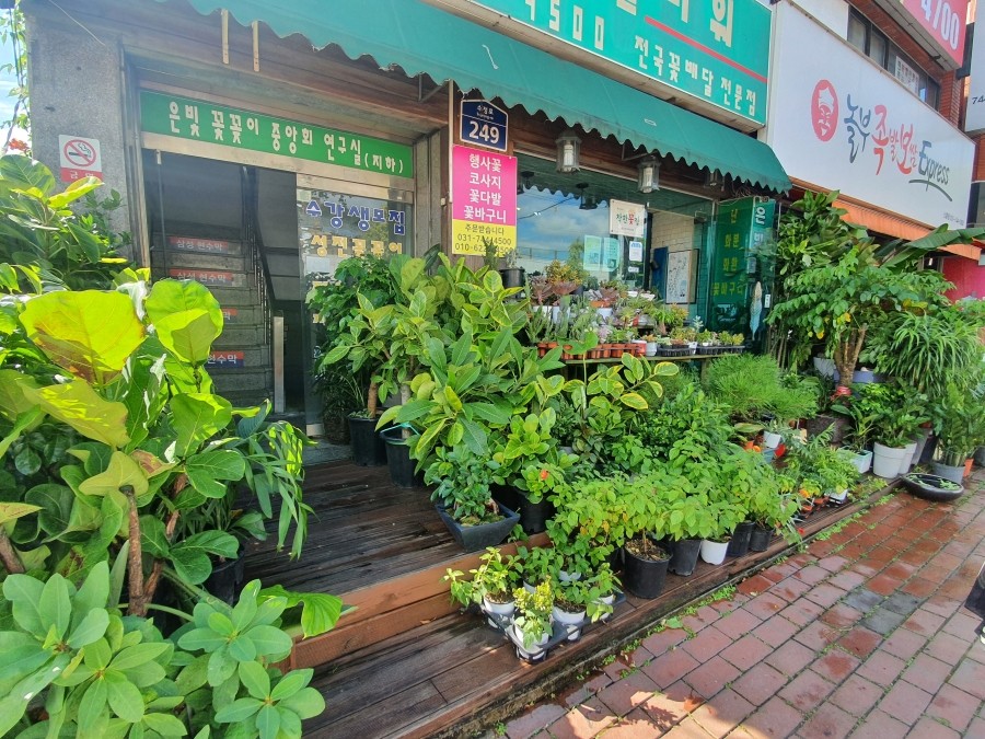 은빛플라워 이미지
