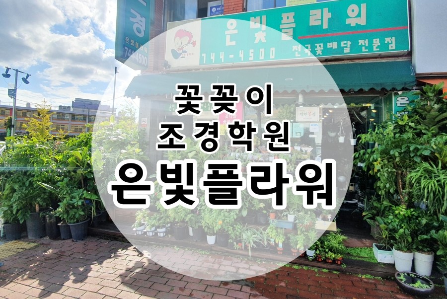 은빛플라워 이미지