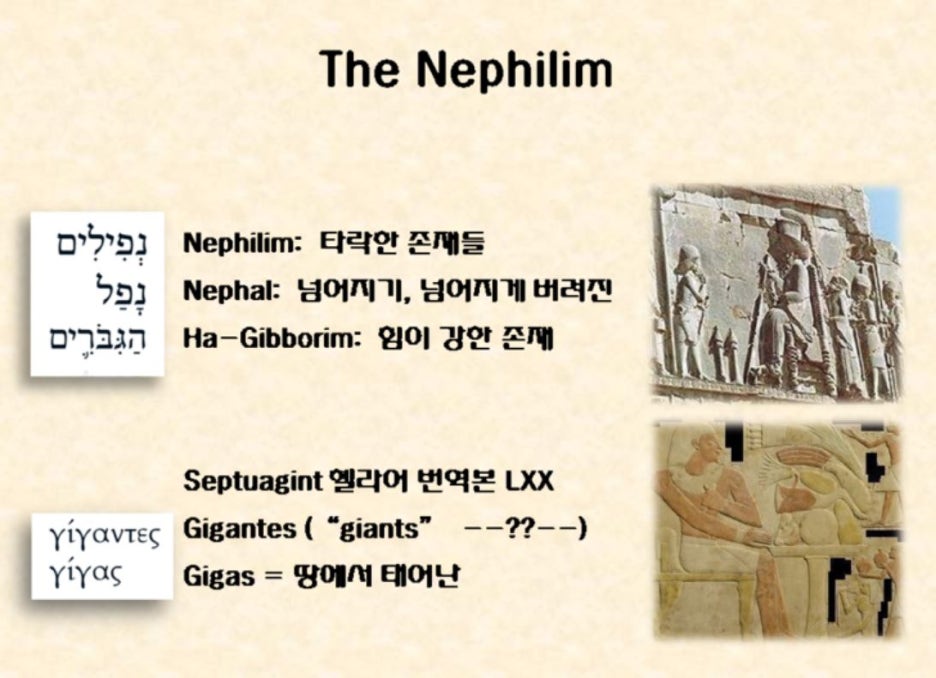 지가스 이미지
