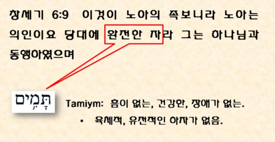지가스 이미지