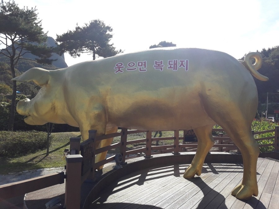웃으면복돼지 이미지