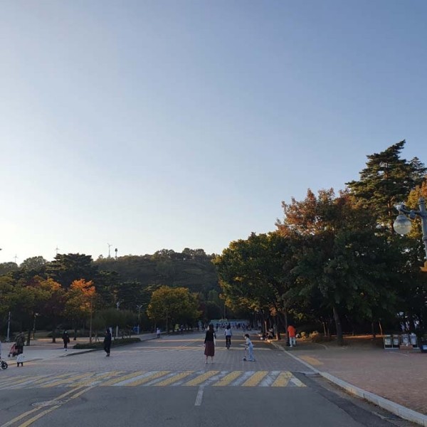 준정보 이미지