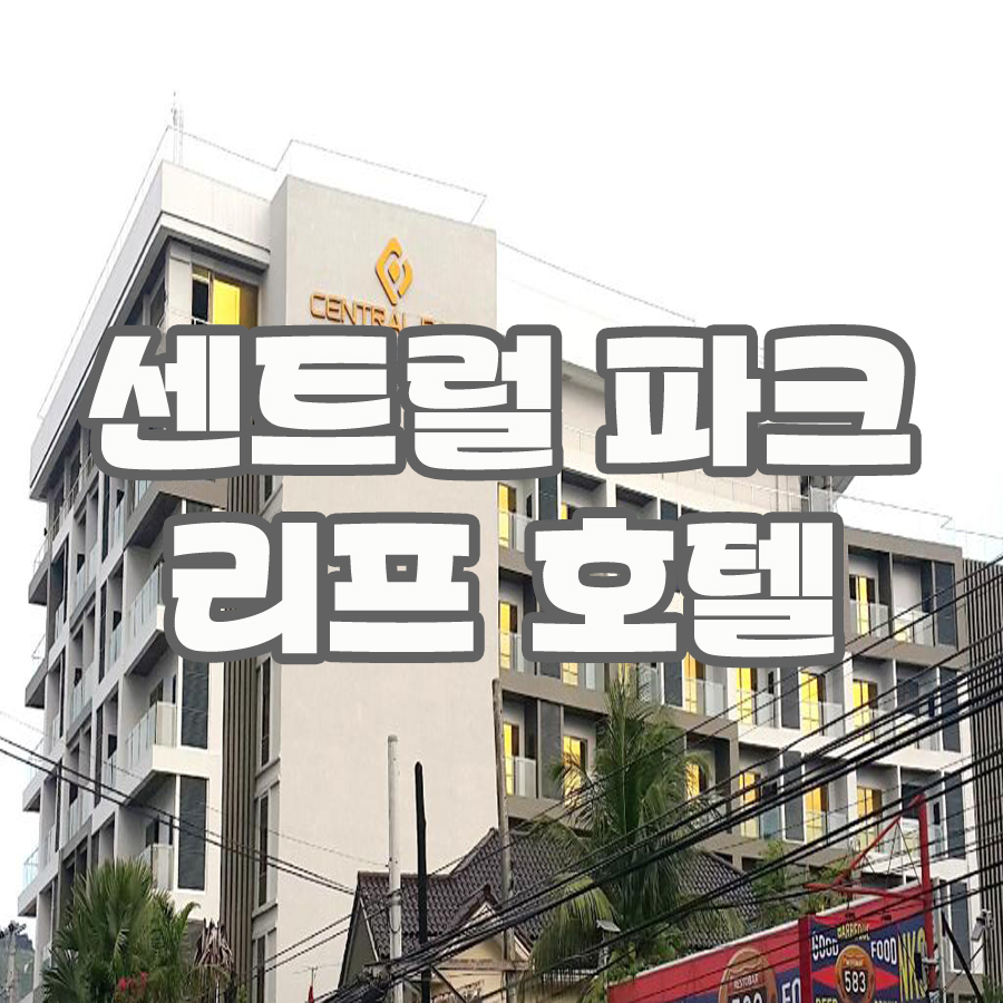 레베카여행사 이미지