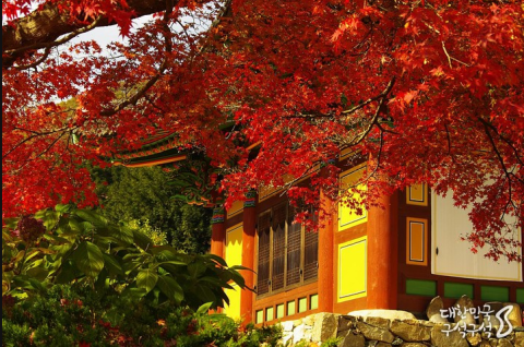 삼성지게차서비스 이미지
