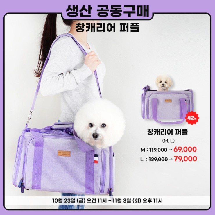 에이미퍼플 이미지