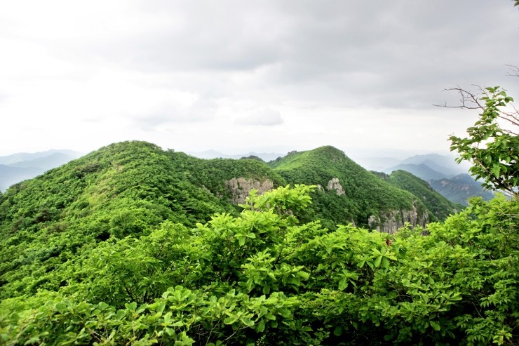 연석산&숲 이미지