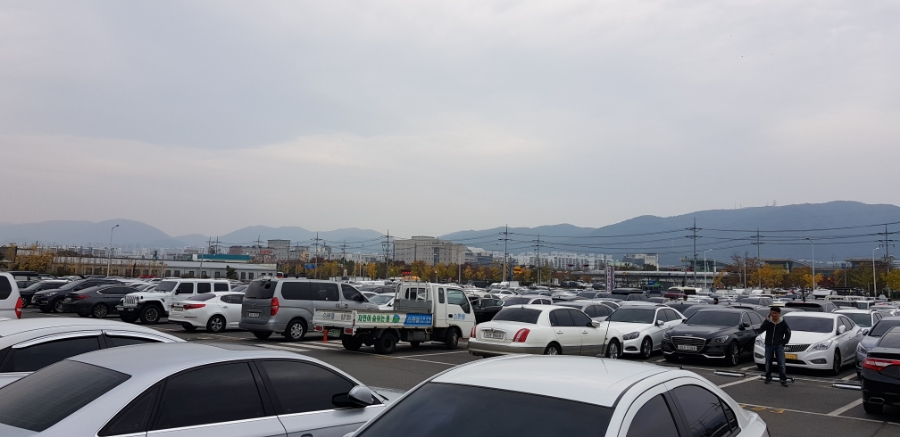 개미상사 이미지