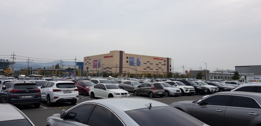 개미상사 이미지