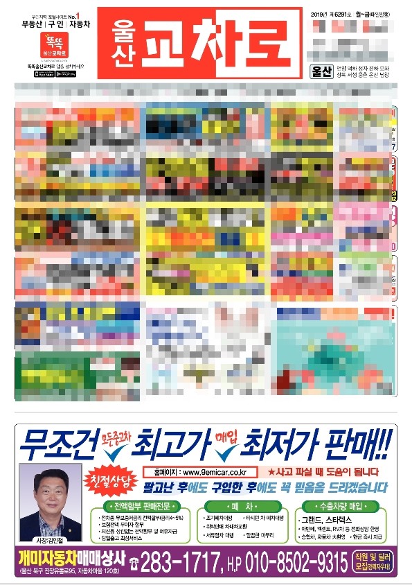 개미상사 이미지