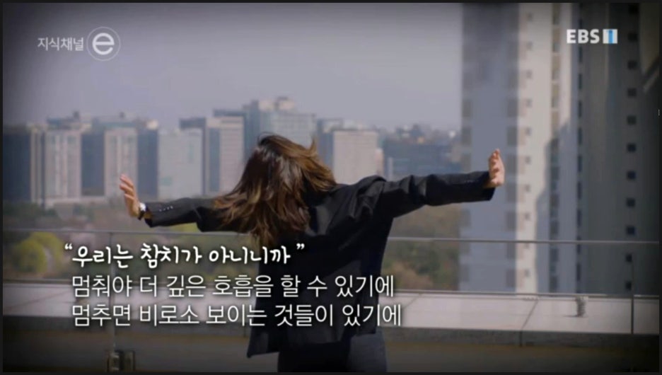 인생참치 이미지