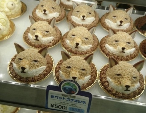 스트롤 클럽 이미지