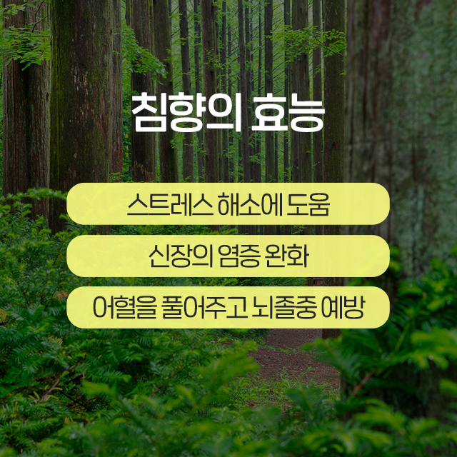 향만 이미지