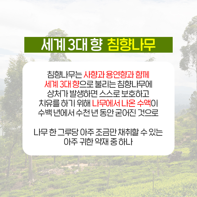 향만 이미지