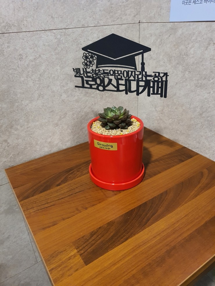 그로잉스터디카페구서점 이미지