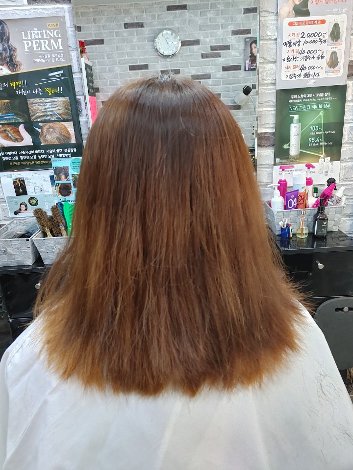 그레이스헤어 이미지