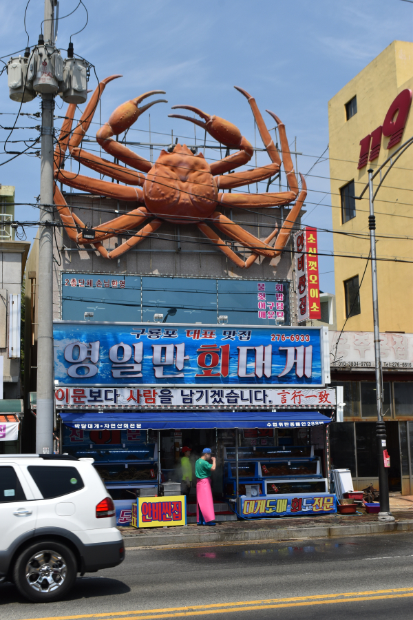 영일만횟집 이미지