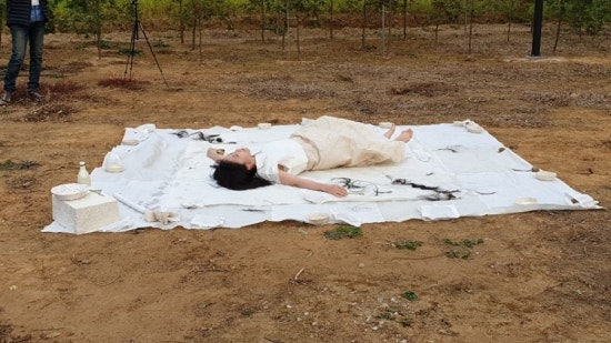 (주)평화지대 이미지