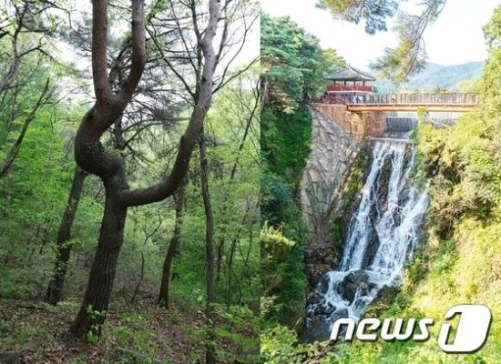 나드리주유소 이미지