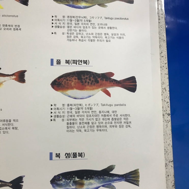 황궁복집 이미지