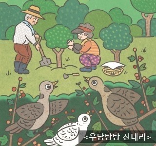 빛나수선 이미지
