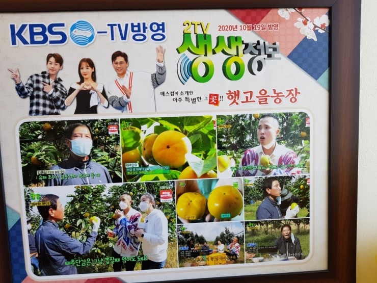 햇고을 이미지