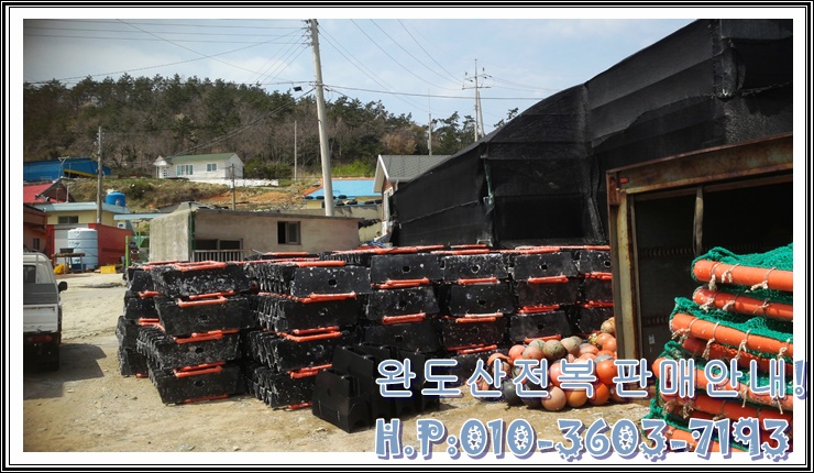 완도산전복산지직송 이미지