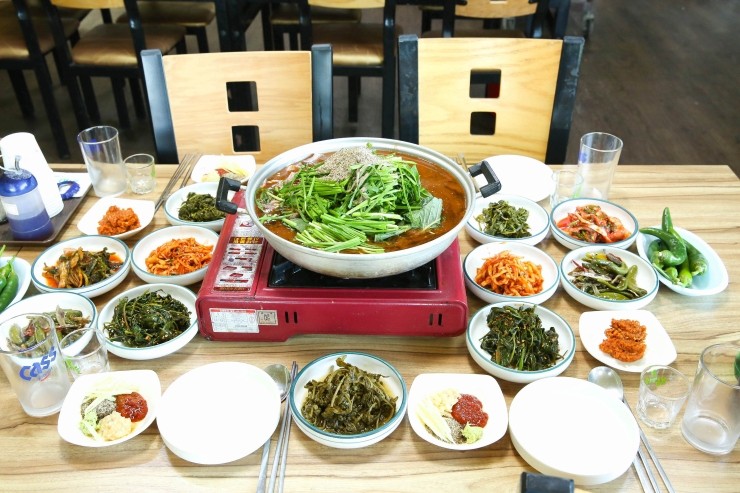 청솔흑염소 이미지