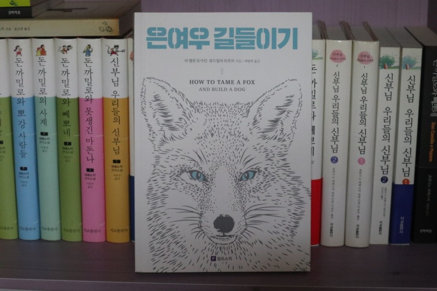 푸른커뮤니케이션 이미지