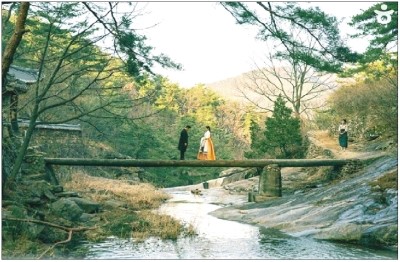 본텔 이미지