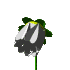 1.꽃핌동.gif