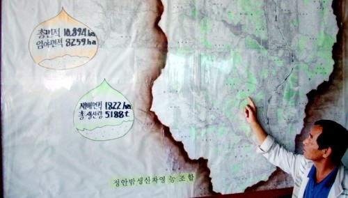 정안밤생산자영농조합법인 이미지