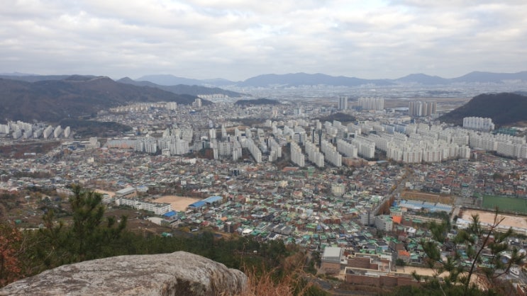수인사유치원 이미지
