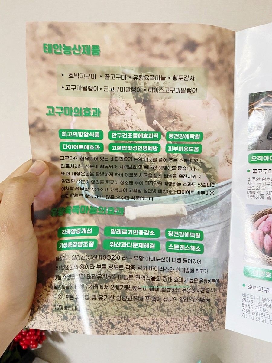 태안농산영농조합법인 이미지