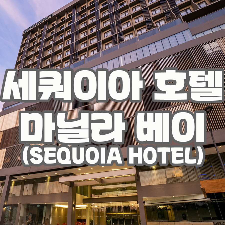 레베카여행사 이미지