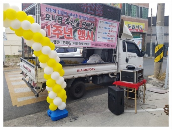 도니팜 이미지