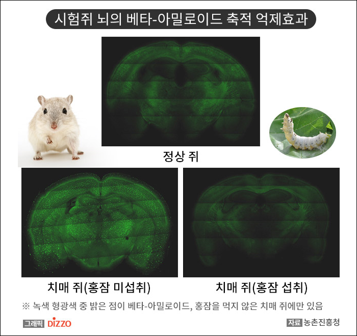 미르통상 이미지