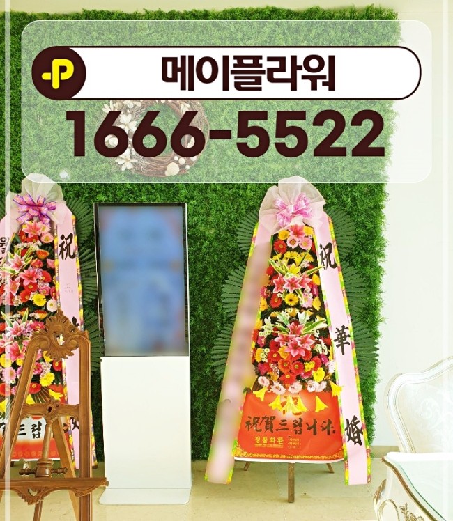 대구꽃배달서비스 이미지