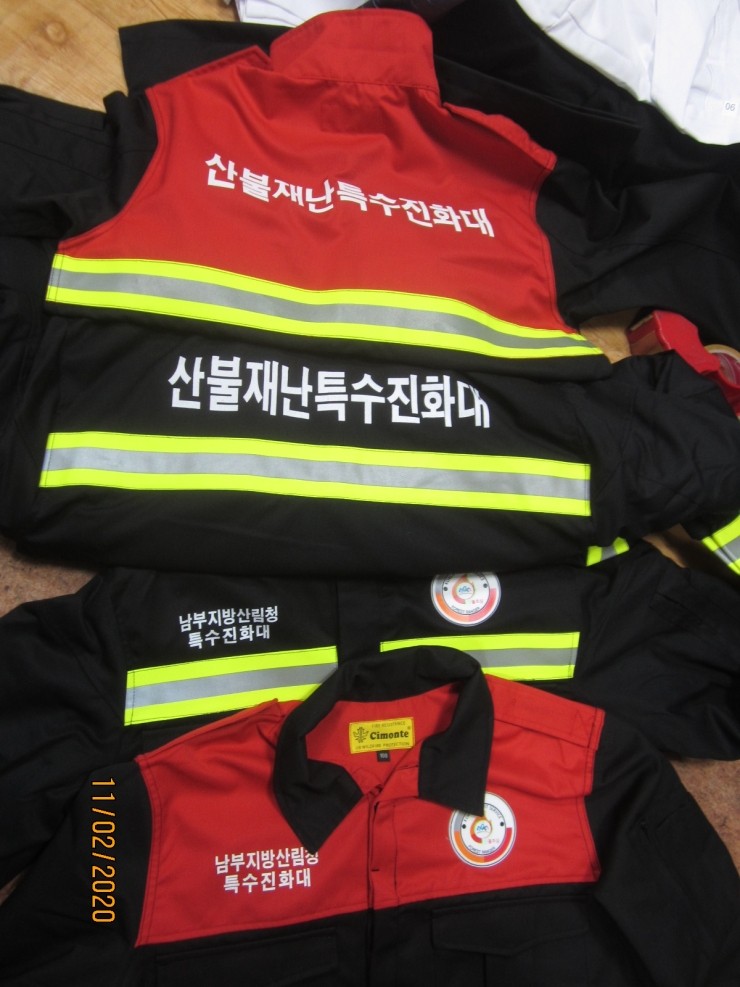 부여나염 이미지