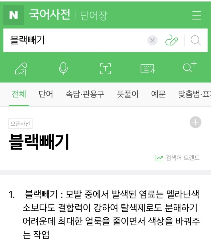 지아살롱 이미지